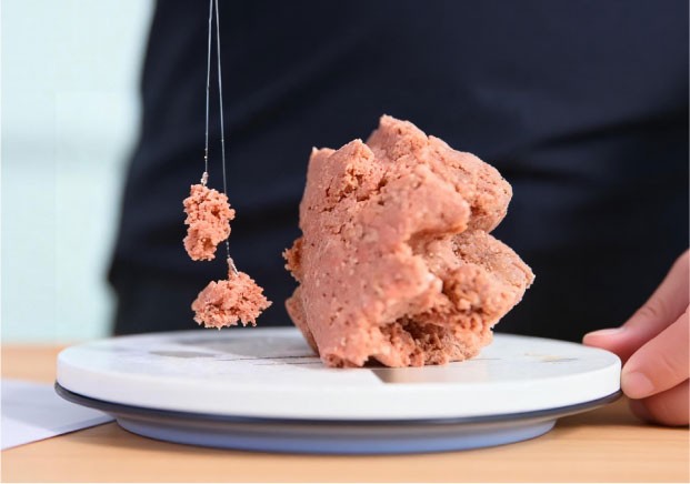 鉤尖上的心理戰：魚餌品牌取名的“爆護”邏輯